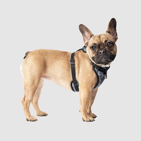 Canada Pooch No Pull Dog Harness Adjustable Dog Harness for Walking Dogs Seat Belt Harness, Front & Back D-Rings for Comfort & Control - Splatter/S in Kuwait