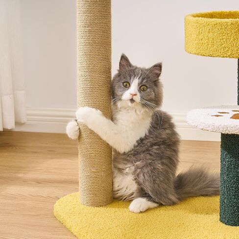 BEWISHOME Cute Cat Tree Cactus Cat Tower for Indoor Cats with Fully Scratching Posts, Top Perches, Dangling Ball Cat Scratcher MMJ101Y in Kuwait