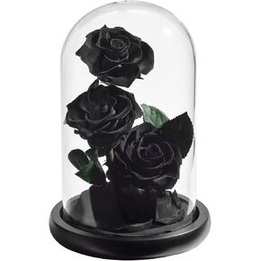 AINYROSE Anniversary Birthday Gifts for Women Rose Flower Gifts for Christmas,Preserved Rose Birthday Gifts for Women Grandma Mom, Mother Day Mom Gifts from Daughter Son (Black)