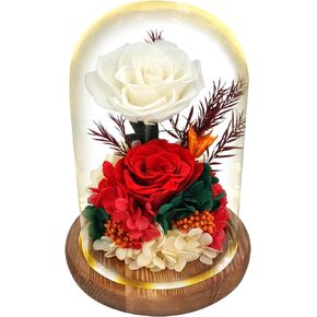 Flowers Roses Gift | Fresh Real Roses in Glass Dome | Flowers for Delivery Prime | Preserved Fresh Flowers | Birthday Gifts for Women/Mom/Girlfriend/Wife | Christmas Day Valentines Day Mothers Day
