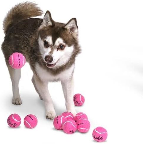كرات تنس Midlee Happy Birth Dog (عبوة من 12 قطعة) (صغير، أزرق) in Saudi Arabia