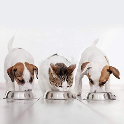 Dog Feeding Magnet with Sliding Indicator, Prevents Over Feeding or Under Feeding in Saudi Arabia