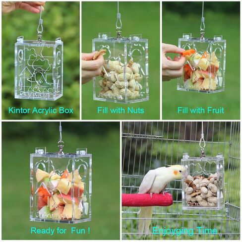 لعبة تغذية الطيور الإبداعية للببغاء من كينتور، حجم كبير 4.8 × 3.6 × 2.6 بوصة in Kuwait
