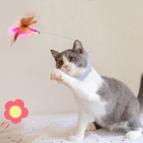 Airshi Cat Feather Collar Toys, Cat Feather Wand Collar Exercise Relieve Boredom Flexible Interactive Funny with Bell for Indoor (Blue) in Kuwait