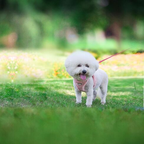 AIITLE Step in Dog Harness and Leash Set - Warm and Cozy Dog Vest Harness with Velcro Design, Reflective No-Pull Plush Pet Harness for Outdoor Walking, Training for Small Dogs, Cats White XXS in Kuwait