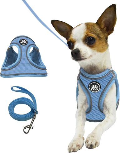 NESTROAD حزام للكلاب بدون سحب، طقم حزام ومقود للقطط مقاوم للهروب، صدرية عاكسة للكلاب للمشي (أزرق، مقاس XX-Small) in Kuwait