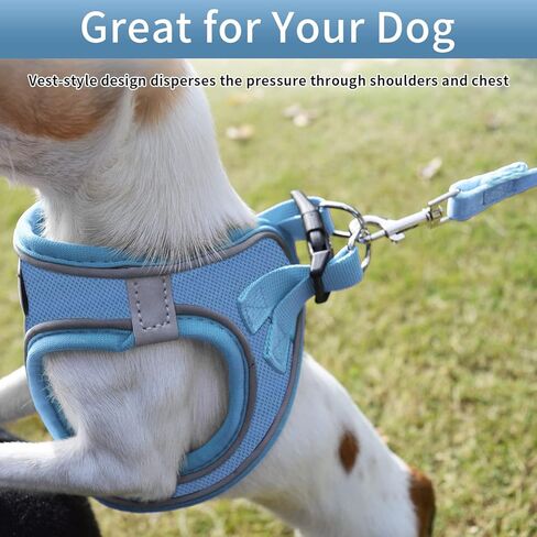 NESTROAD حزام للكلاب بدون سحب، طقم حزام ومقود للقطط مقاوم للهروب، صدرية عاكسة للكلاب للمشي (أزرق، مقاس XX-Small) in Kuwait