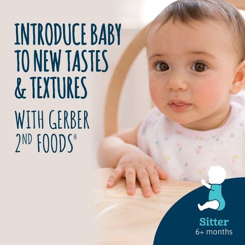 Gerber Mealtime for Baby 2nd Foods Baby Food Jar, Non-GMO Pureed Baby Food with Essential Nutrients (Turkey) in Saudi Arabia