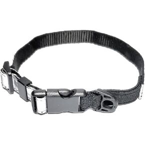 Cat Elastic Reflective Safety Collar (Silver) in Saudi Arabia