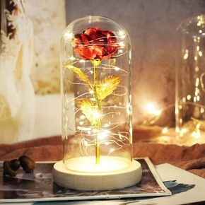 Winnsty Gifts for Mothers Day, Mom Gifts, Enchanted Rose with Led Light in Glass Dome, Unique Gift for Anniversary, Mother's Day,Birthday (Blue)