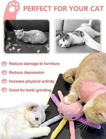 مادهولي 2 قطعة من لعبة النعناع البري مع 10 كرات النعناع البري - لعبة مضغ القط القطيفة لألعاب القطط في الأماكن المغلقة in Kuwait