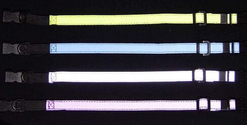 Cat Elastic Reflective Safety Collar (Silver) in Saudi Arabia
