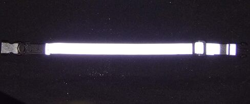 Cat Elastic Reflective Safety Collar (Silver) in Saudi Arabia