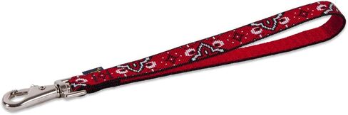 Lupine 3/4 Inch Training Tab/Leash for Medium and Large Dogs in Kuwait