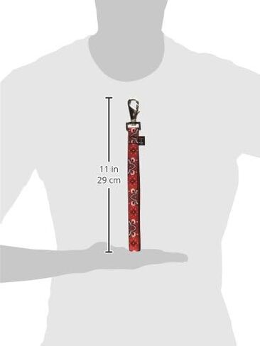 Lupine 3/4 Inch Training Tab/Leash for Medium and Large Dogs in Kuwait