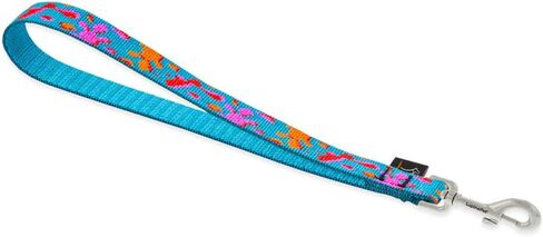 Lupine 3/4 Inch Training Tab/Leash for Medium and Large Dogs in Kuwait