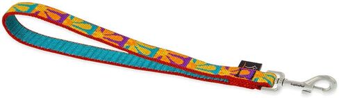 Lupine 3/4 Inch Training Tab/Leash for Medium and Large Dogs in Kuwait