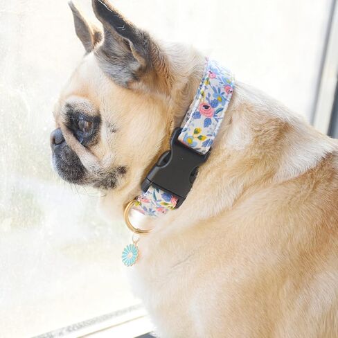 2 PCS Cotton Dog Collar Soft Cute Flower -3 Sizes Soft Nylon Puppy Collar Adjustable for Girl Female Small Medium Large Dogs (S(10-14in), Flower-1) in Saudi Arabia