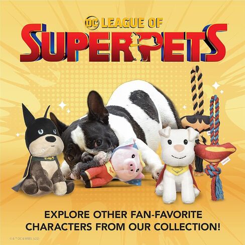 طوق كلب DC Comics League of Super-Pets Ace Batman، صغير| طوق الكلاب المرخص رسميًا من DC League of Super-Pets | طوق كلب صغير DC League of Super-Pets Ace Bat Hound نمط باتمان مع حلقة على شكل حرف D in Saudi Arabia