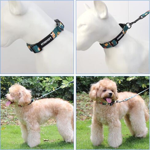 SYEENIFY Dog Collar for Small Dogs, Cute Dog Collars Puppy Collars,Adjustable Soft Fancy Girl Boy Dog Collars,S in Kuwait