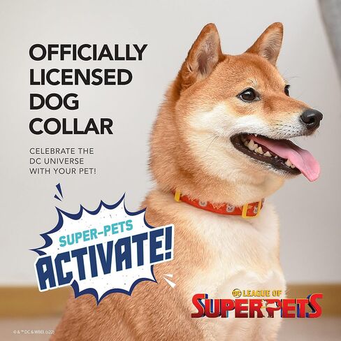 طوق كلب DC Comics League of Super-Pets Ace Batman، صغير| طوق الكلاب المرخص رسميًا من DC League of Super-Pets | طوق كلب صغير DC League of Super-Pets Ace Bat Hound نمط باتمان مع حلقة على شكل حرف D in Saudi Arabia