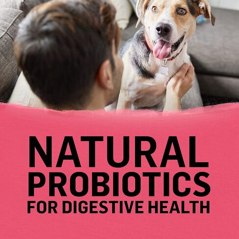 بورينا بيوند ناتشورال، طعام جاف للكلاب عالي البروتين من السلالات الصغيرة، وصفة الدجاج والشعير والبيض - كيس 14.5 رطل in Kuwait