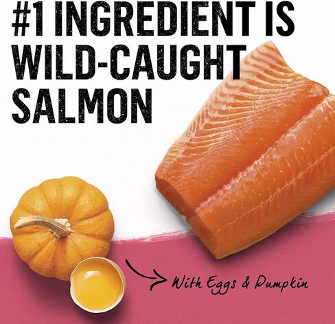 بورينا بيوند ناتشورال، طعام جاف للكلاب عالي البروتين من السلالات الصغيرة، وصفة الدجاج والشعير والبيض - كيس 14.5 رطل in Kuwait