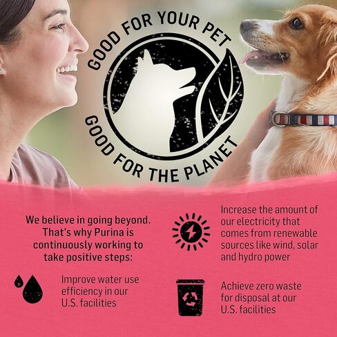 بورينا بيوند ناتشورال، طعام جاف للكلاب عالي البروتين من السلالات الصغيرة، وصفة الدجاج والشعير والبيض - كيس 14.5 رطل in Kuwait