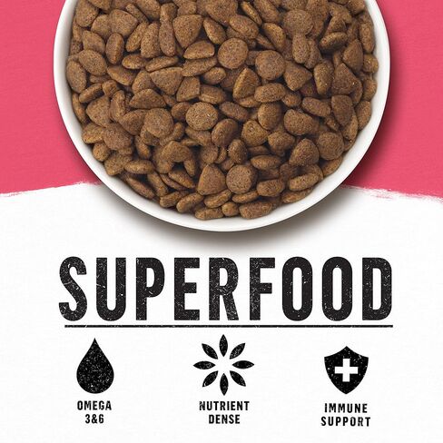 بورينا بيوند ناتشورال، طعام جاف للكلاب عالي البروتين من السلالات الصغيرة، وصفة الدجاج والشعير والبيض - كيس 14.5 رطل in Kuwait