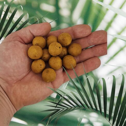 boilies Corn and Tiger Nuts 20 mm in Saudi Arabia