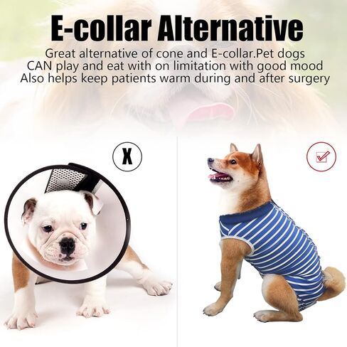 بدلة تعافي الكلاب، بدلة تعافي جراحية للكلاب والقطط وما بعد الجراحة، طوق مخروطي إلكتروني بديل، واقي جروح البطن، مضاد لللعق in Kuwait