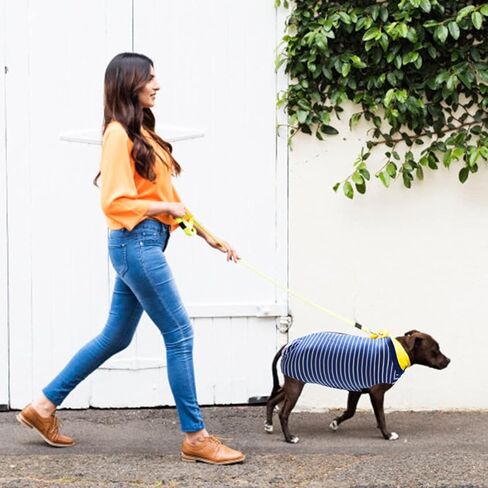 بدلة تعافي الكلاب، بدلة تعافي جراحية للكلاب والقطط وما بعد الجراحة، طوق مخروطي إلكتروني بديل، واقي جروح البطن، مضاد لللعق in Kuwait