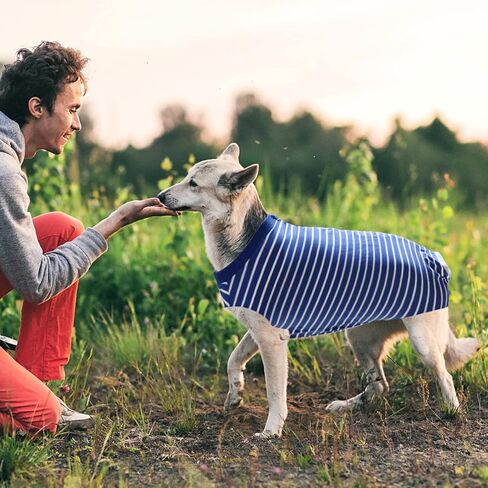 بدلة تعافي الكلاب، بدلة تعافي جراحية للكلاب والقطط وما بعد الجراحة، طوق مخروطي إلكتروني بديل، واقي جروح البطن، مضاد لللعق in Kuwait