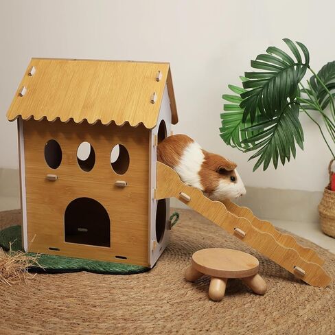 بيت مخبأ للخنزير الغيني مع درج من تشيجرون in Kuwait