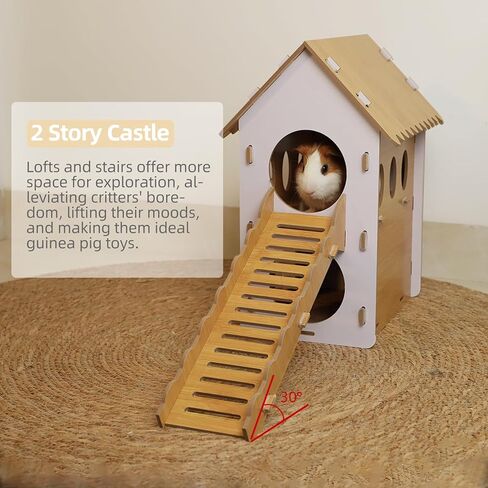 بيت مخبأ للخنزير الغيني مع درج من تشيجرون in Kuwait