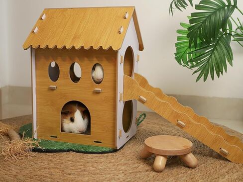 بيت مخبأ للخنزير الغيني مع درج من تشيجرون in Kuwait