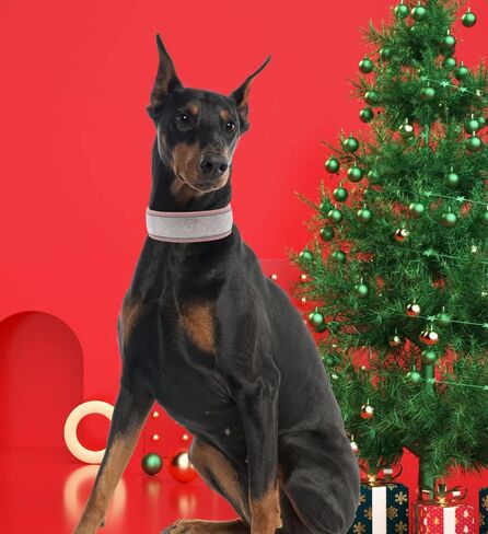 Diamond Dog Collar for Females Girls,Soft Velvet Leather with Bling Fancy Sparkly Crystal Rhinestones,Reflective Stripe,Suit Medium Large Dogs Doberman (Green, M) in Saudi Arabia