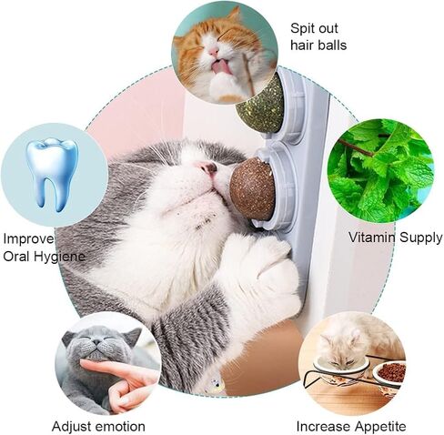 Miocololy 4 Pack Catnip Wall Toy, Rotatable Silvervine Catnip Lickable Balls, Edible Roller Toys for Cat Licker, Healthy Cat Chew Toys, Teeth Cleaning Dental Care Catnip Toy, Cat Wall Treats in Kuwait