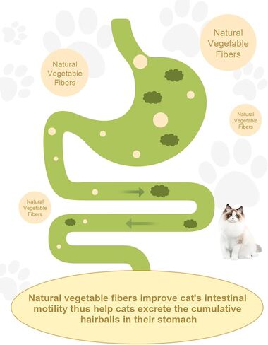 Miocololy 4 Pack Catnip Wall Toy, Rotatable Silvervine Catnip Lickable Balls, Edible Roller Toys for Cat Licker, Healthy Cat Chew Toys, Teeth Cleaning Dental Care Catnip Toy, Cat Wall Treats in Kuwait