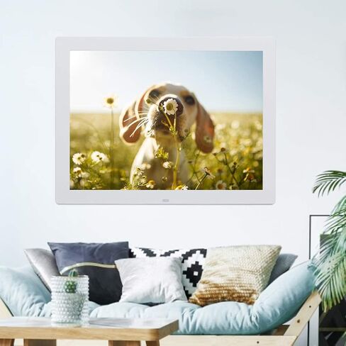 إطار صور رقمي عالي الدقة مقاس 15 بوصة من Ciglow، إطار صور رقمي 1280 * 800 إطار صور إلكتروني مع مشغل موسيقى وفيديو، وساعة منبه، وتقويم، وما إلى ذلك. مكبر صوت مدمج لسوق المكاتب المنزلية وما إلى ذلك (أبيض) in Saudi Arabia