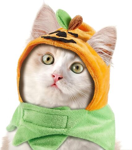 Xuniea 2 Pieces Halloween Pumpkin Cat Hat Adjustable Pumpkin Cat Costumes Cute Pumpkin Cat Party Hat Cat Cosplay Costume Cap for Pet Cats Kitty Kitten Festival Costumes in Kuwait
