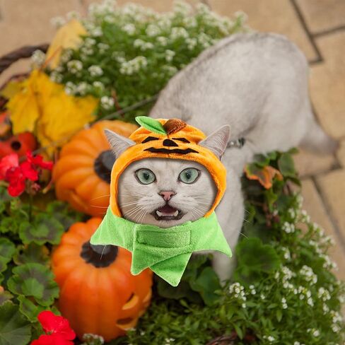 Xuniea 2 Pieces Halloween Pumpkin Cat Hat Adjustable Pumpkin Cat Costumes Cute Pumpkin Cat Party Hat Cat Cosplay Costume Cap for Pet Cats Kitty Kitten Festival Costumes in Kuwait