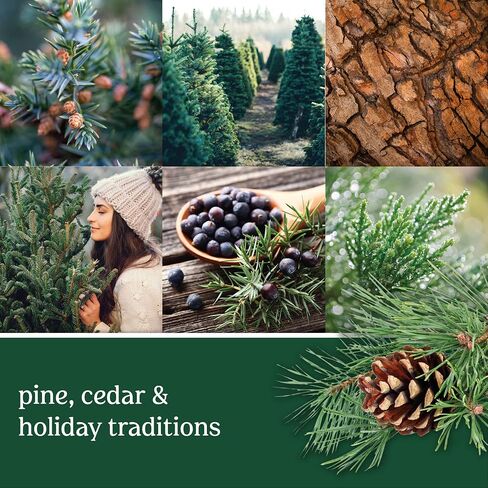 Yankee Candle Balsam & Cedar Scented, Signature 4.3oz Small Tumbler Single Wick Candle, Over 20 Hours of Burn Time, Christmas | Holiday Candle in Saudi Arabia