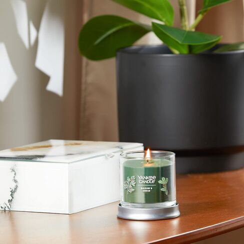 Yankee Candle Balsam & Cedar Scented, Signature 4.3oz Small Tumbler Single Wick Candle, Over 20 Hours of Burn Time, Christmas | Holiday Candle in Saudi Arabia