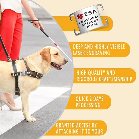 علامات الكلب Leash King No Noise من الفولاذ المقاوم للصدأ K9 ESA، تنزلق على طوق الكلب أو الحزام بسرعة وأمان - الفولاذ المقاوم للصدأ/كبير in Kuwait