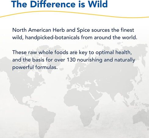 NORTH AMERICAN HERB & SPICE Herbal-zzZs - 60 Softgels - Melatonin Free, Non-Habit Forming - with Ashwagandha & Chamomile - Non-GMO - 60 Servings in Saudi Arabia