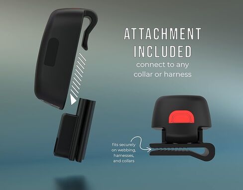 TUG Dog Light - مصباح يدوي للمشي يتصل بمقاود الكلاب والياقات والأحزمة | مصباح LED قابل لإعادة الشحن ومشرق للمشي ليلاً in Kuwait