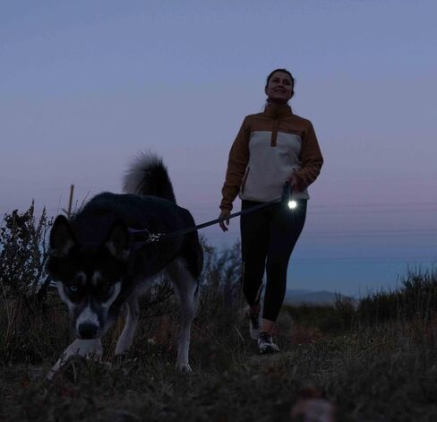TUG Dog Light - مصباح يدوي للمشي يتصل بمقاود الكلاب والياقات والأحزمة | مصباح LED قابل لإعادة الشحن ومشرق للمشي ليلاً in Kuwait