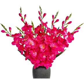 kimbovillea Pack of 10 - Artificial Gladiolus Silk Orchids Flower Stems Fake Dendrobium Flowers Daffodils for Home Garden Party Wedding Decoration (Fuchsia) in Kuwait