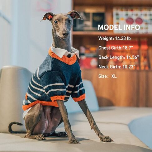 سترة للكلاب الصغيرة من ISPET، سويت شيرت بخطوط مرقعة للكلاب، ملابس شتوية للحيوانات الأليفة، معطف ناعم سميك للقطط للكلاب الصغيرة، بيج X-Large in Kuwait